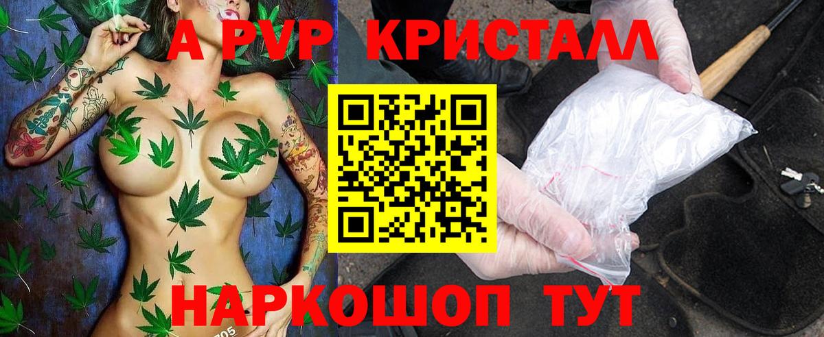 дарнет шоп  Alpha PVP крисы CK  Вход с VPN  A PVP кристаллы  Отрадное  Alpha PVP 