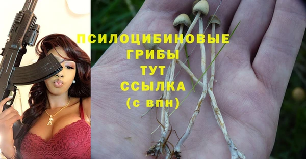 трава Абдулино