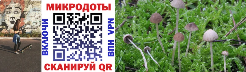 Псилоцибиновые грибы Magic Shrooms  Отрадное 