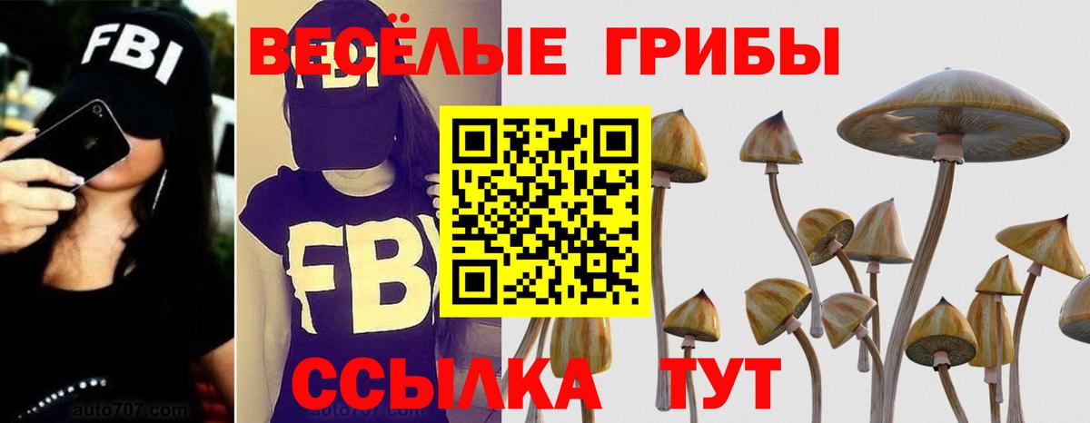 что такое наркотик  Псилоцибиновые грибы мицелий  Вход с VPN  Отрадное  Псилоцибиновые грибы ЛСД 