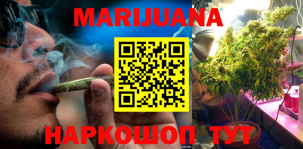 Конопля тримм  Вход с VPN  Марихуана конопля  Отрадное 
